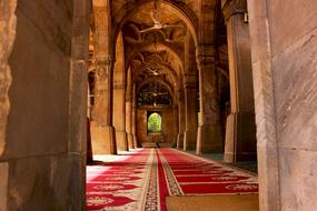 Sidi Saiyyed Mosque Ahmedabad