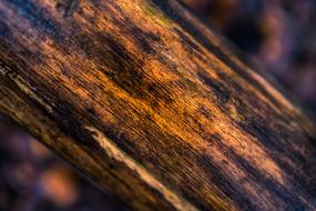 light painting, wood background