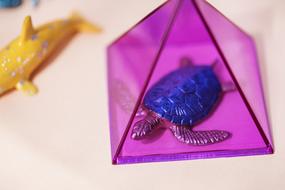 turtle in purple cube