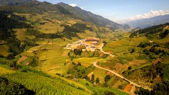 Travel Terraces Rice