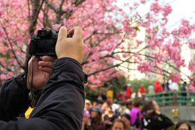 People Outdoor Tree