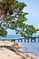Placencia Belize