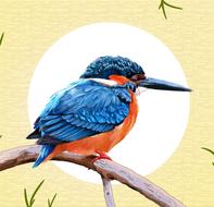 Paint a colored bird