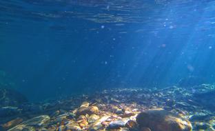 Water Sea Sand