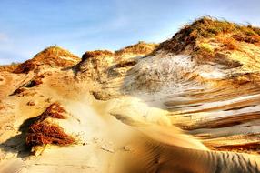 Dune Beach Sea