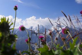 Travel Nature Scenic