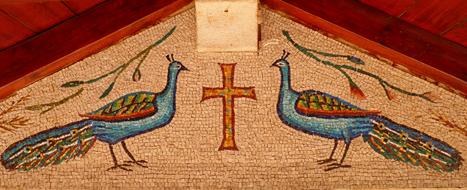 Birds Culture No One