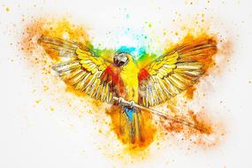 drawing of a colorful parrot with its wings open
