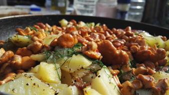 delicious potatoes with mushrooms and meat