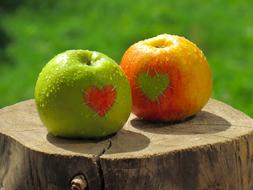 delicious apples with a heart cut out