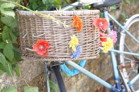 Bicycle Basket Flowers