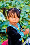 cute asian girl on the background of green cabbage field