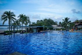 Pool Swimming Swim