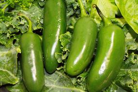 green fresh peppers