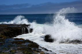 Wave Sea Ocean