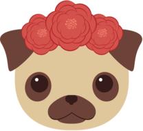 dog pug animals cute puppy