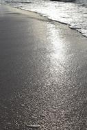 The Coast Beach