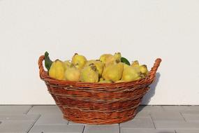 sour lemons in a basket