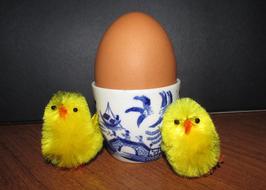 Boiled egg with fluffy toy chickens