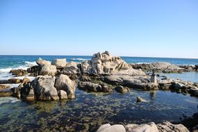 Sea Coast The Body Of Water