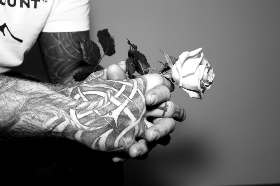 Rose in closed male hands covered with tattoo