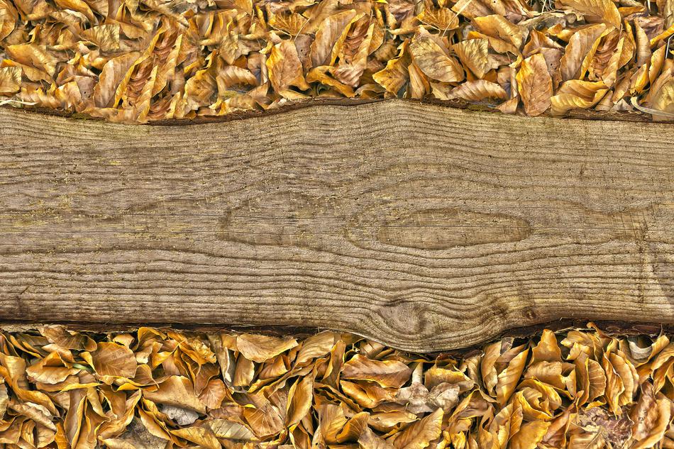 Wood Board Leaves