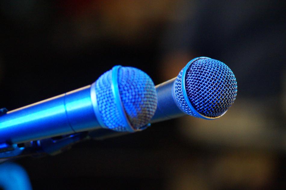 two Micro Microphone