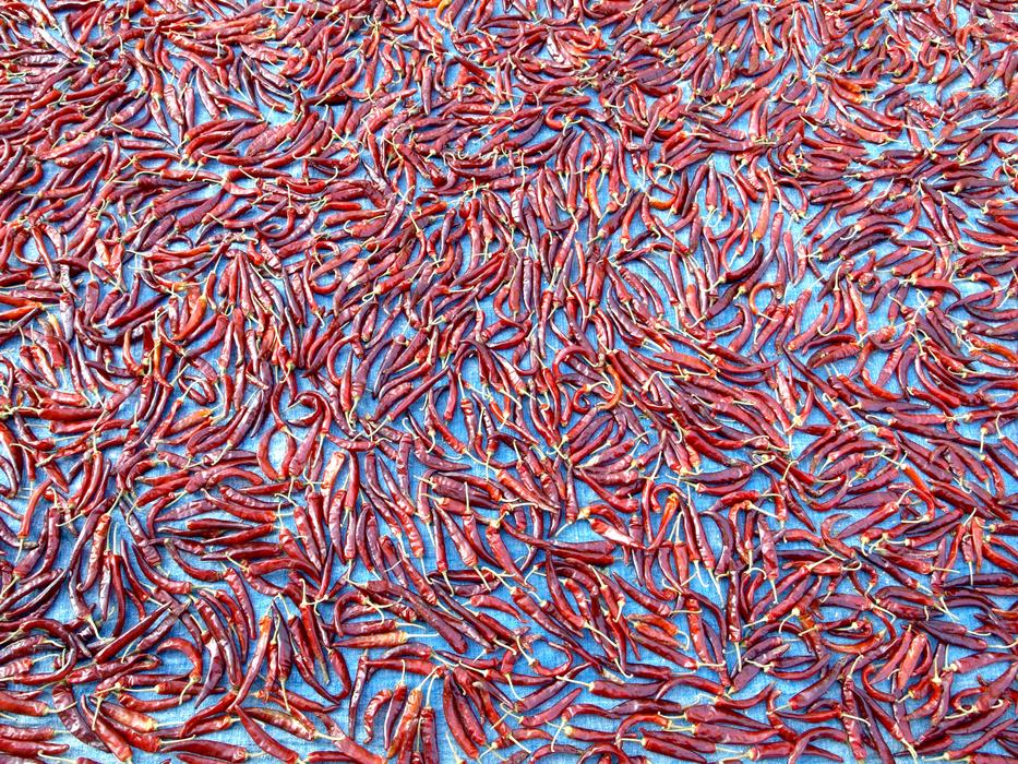 dried delicious peppers scattered