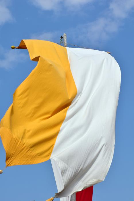 flag on the background of the sky wind