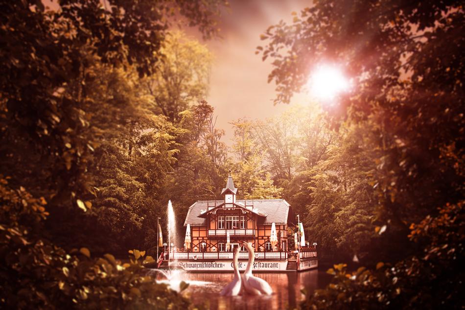 Freiberg Swan Castle Historically