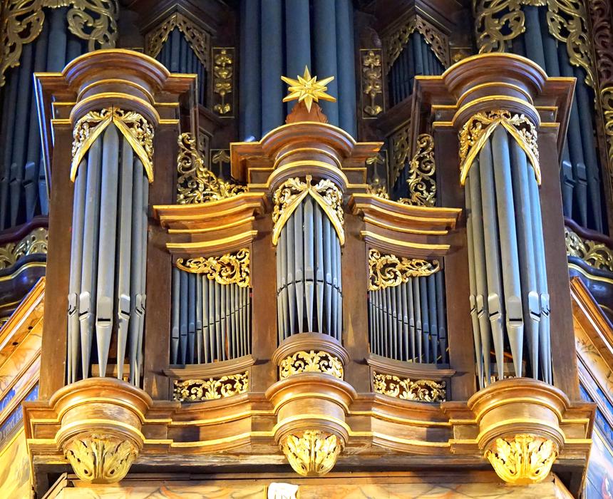 beautiful landscape organ view