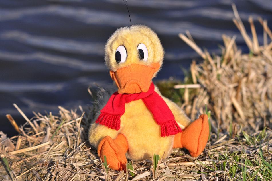 Duck Bird Animal Stuffed