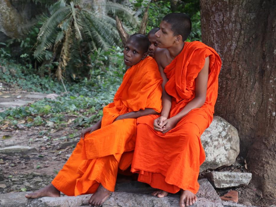 Buddhists in orange clothes sit by a tree in Sri Lanka