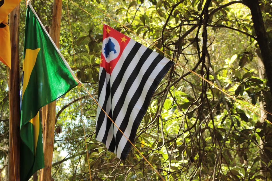 Flag SÃ£o Paulo Brazil