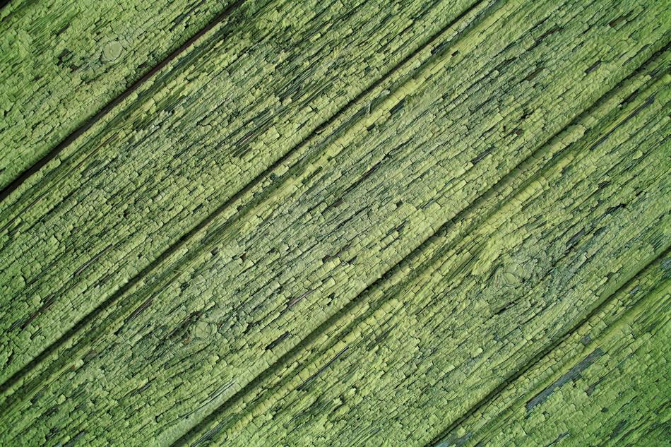 Wood Green Structure