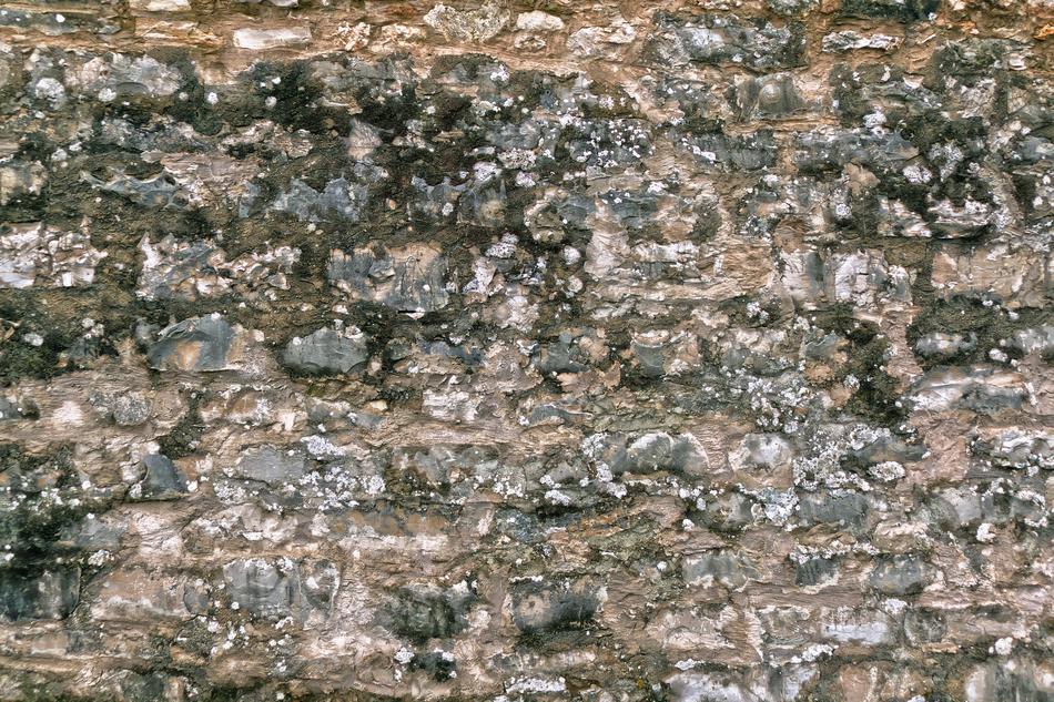 Wall Quarry Stone