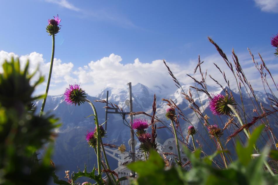 Travel Nature Scenic