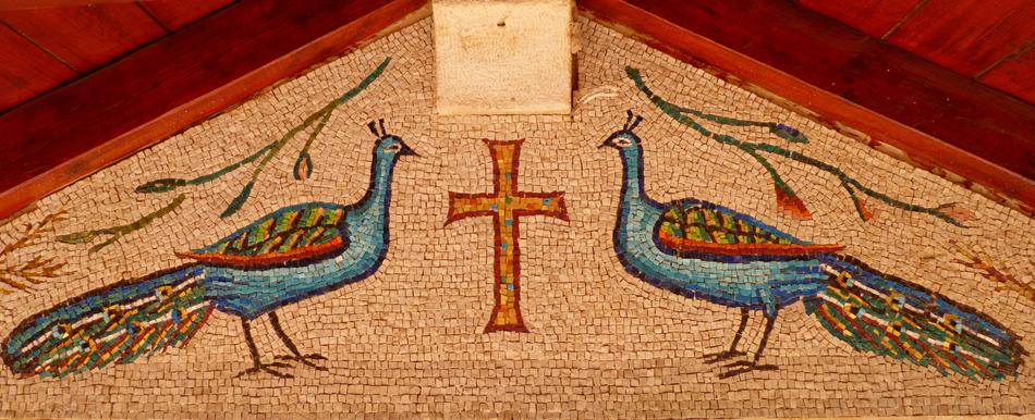 Birds Culture No One