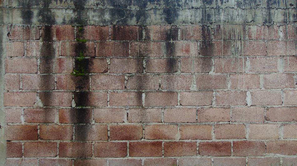 Wall Stone Brick