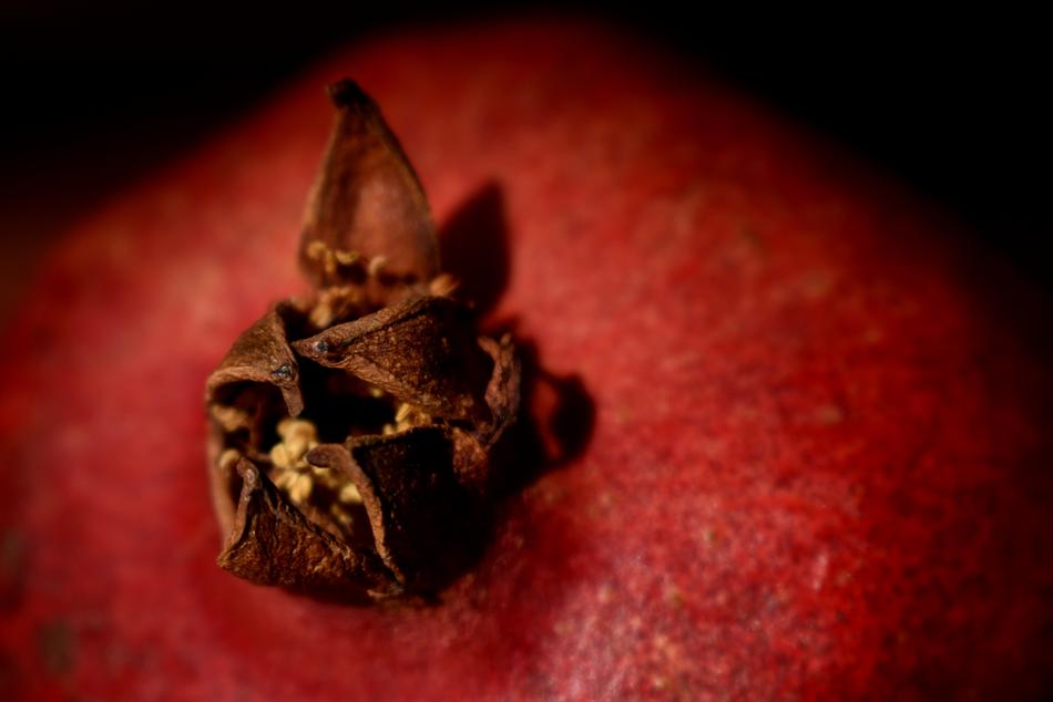 closeup of a grenade