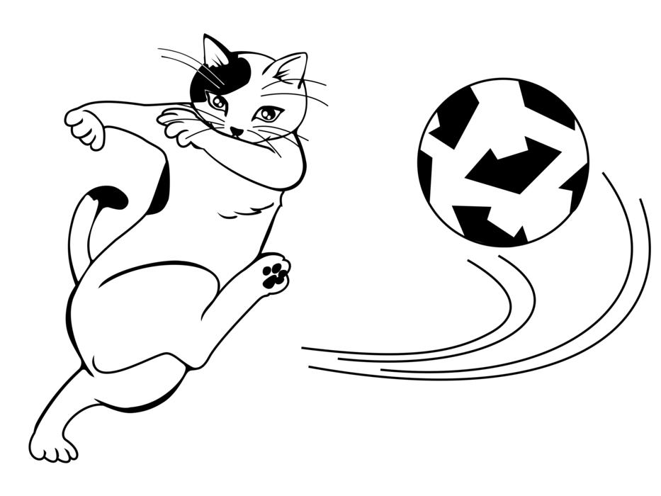 football cat kick shot sports