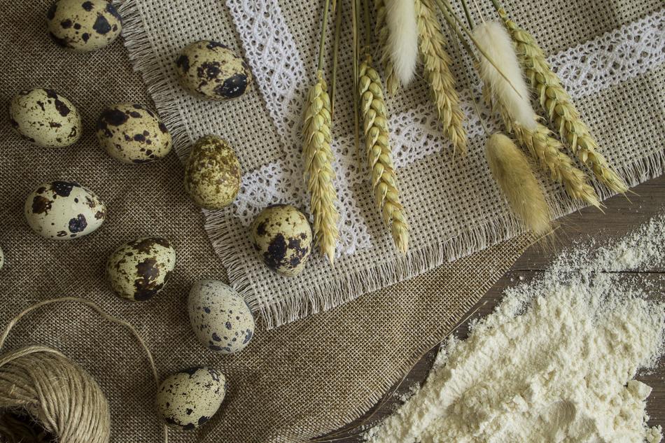 Background Fabric Cotton