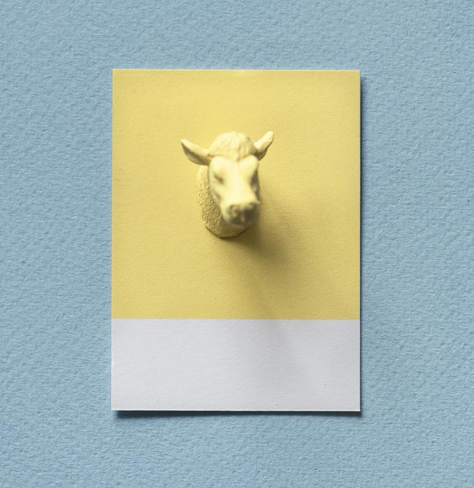 Abstract Animal Background