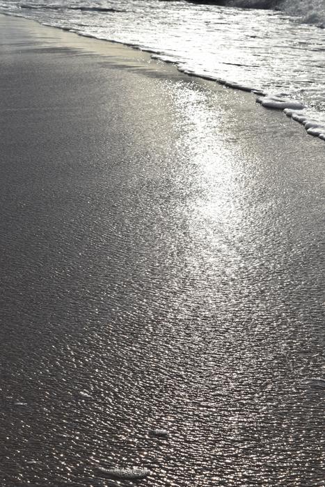 The Coast Beach