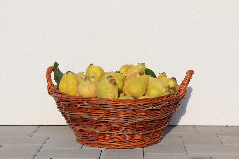 sour lemons in a basket