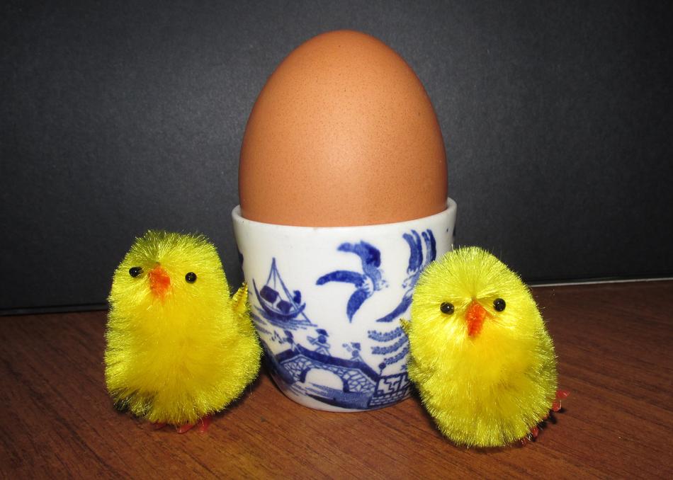 Boiled egg with fluffy toy chickens