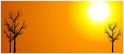 fund sun autumn sunny yellow
