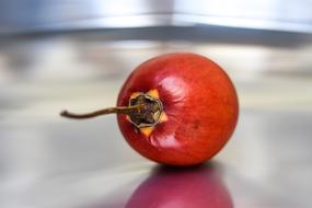 fresh tomato on the table