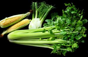 Corn and lettuce on the table