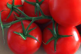 close up of gorgeous tomatoes